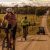 Best Gravel Bike Trails In Australia